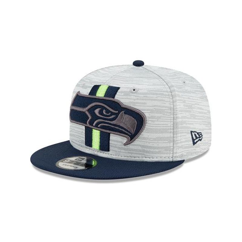 NFL Seattle Seahawks Official Training 9Fifty Snapback (NNZ9666) - Blue New Era Caps